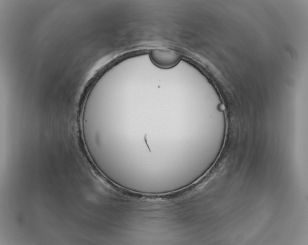 X0000113861168200909241019