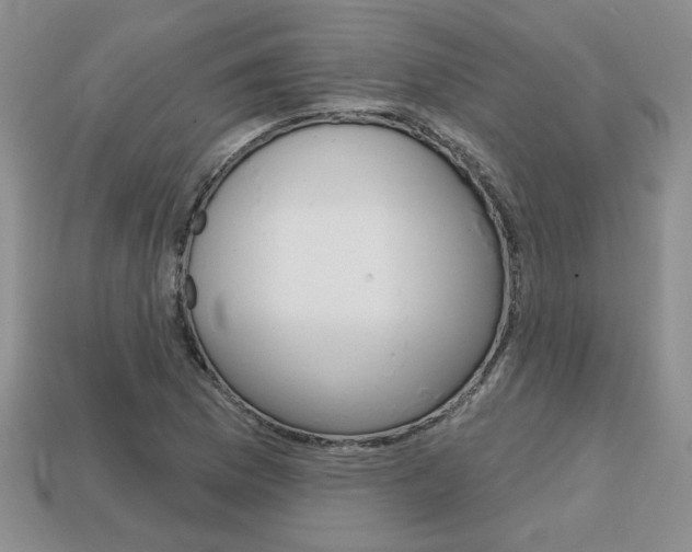 X0000113861169200909241019