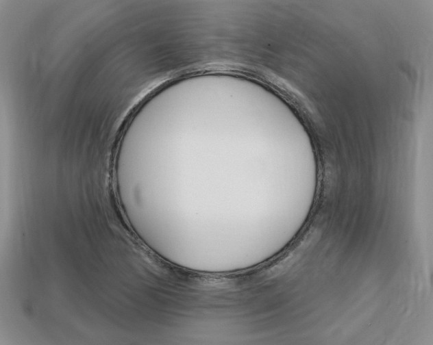 X0000113861170200909241019