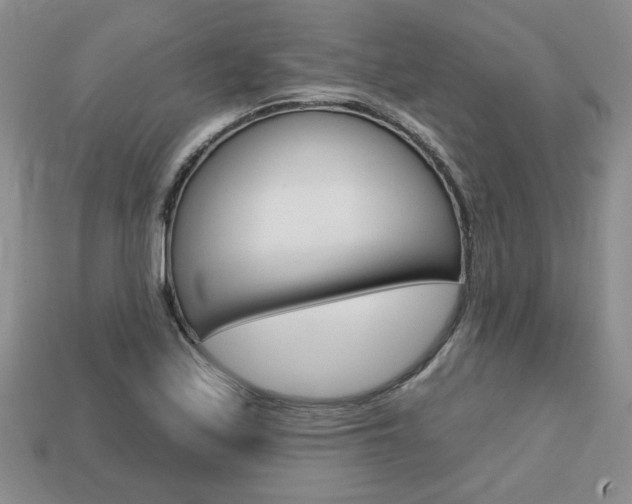 X0000113861171200909241019