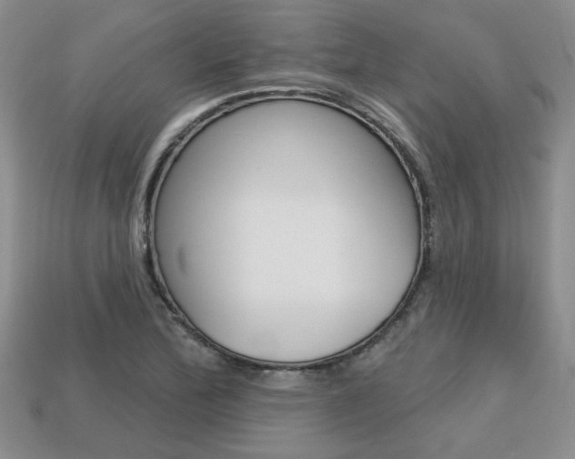 X0000113861172200909241019