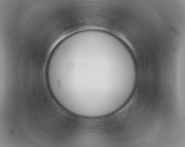 X0000113861173200909241019