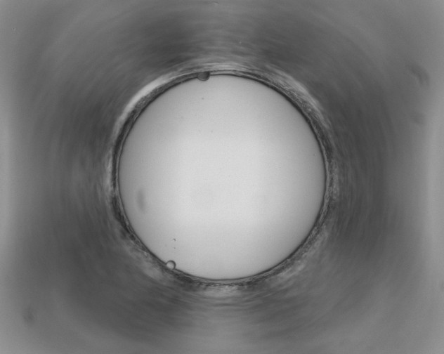 X0000113861174200909241019