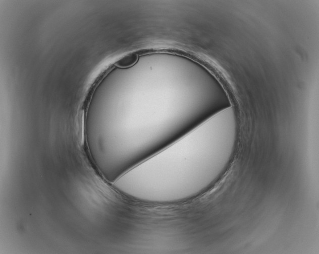 X0000113861175200909241019