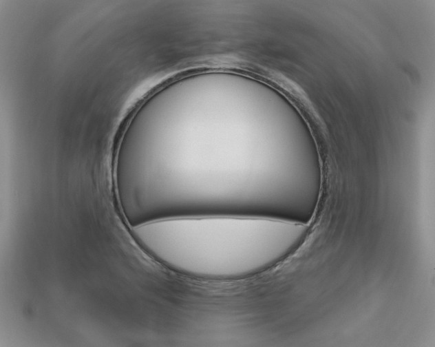 X0000113861176200909241019