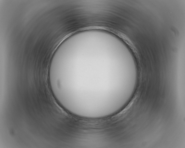 X0000113861177200909241019