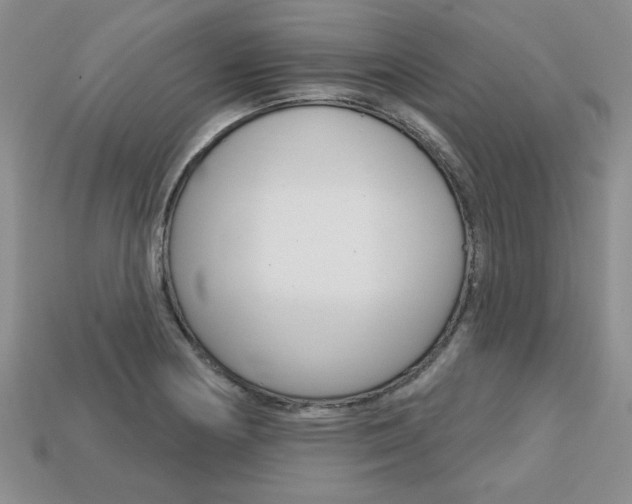 X0000113861178200909241019
