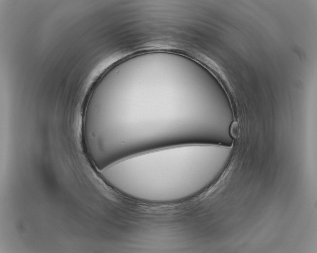 X0000113861179200909241019