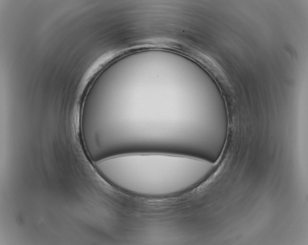 X0000113861180200909241019