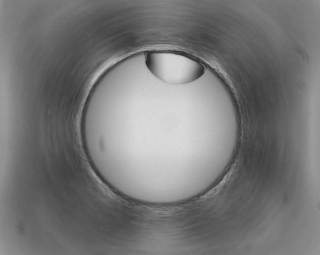 X0000113861181200909241019