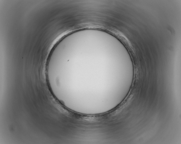 X0000113861182200909241019