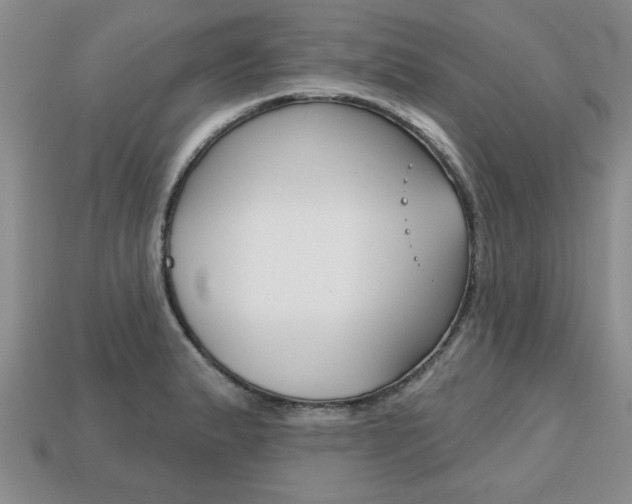 X0000113861183200909241019