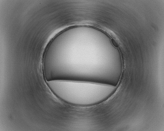 X0000113861184200909241019