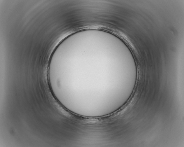 X0000113861186200909241019