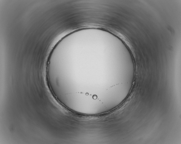 X0000113861187200909241019