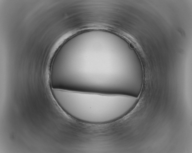 X0000113861188200909241019