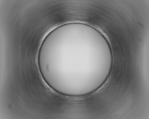 X0000113861189200909241019