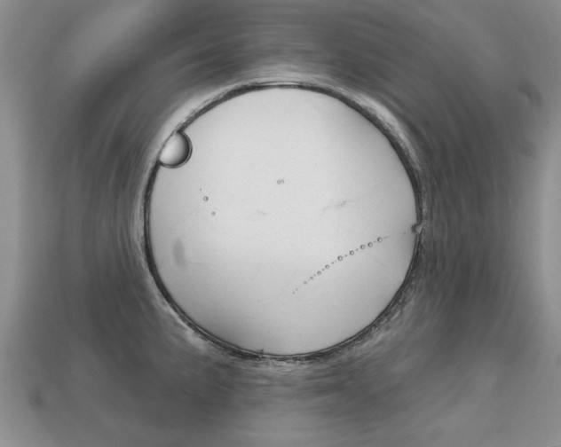 X0000113861191200909241019