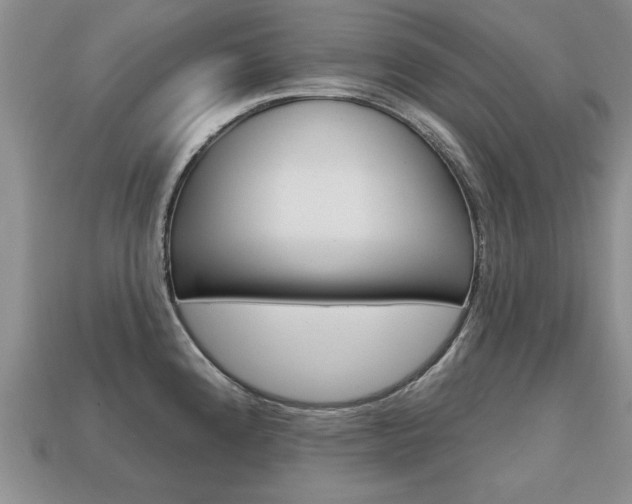 X0000113861192200909241019