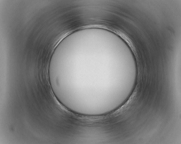 X0000113861193200909241019