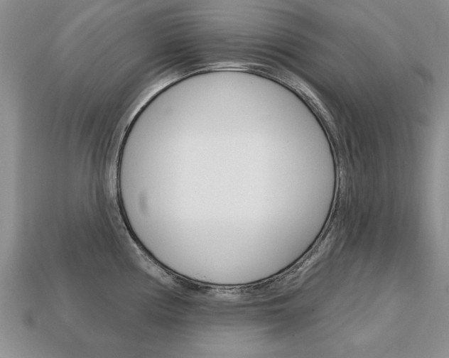 X0000113861194200909241019