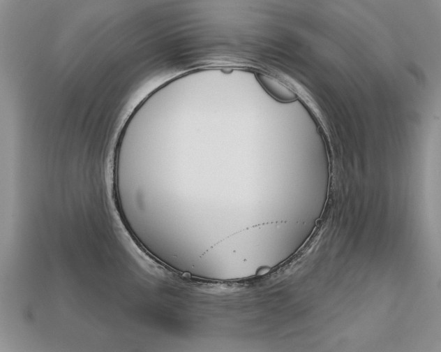 X0000113861195200909241019