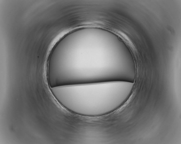 X0000113861196200909241019