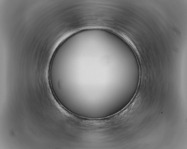 X0000113861197200909241019