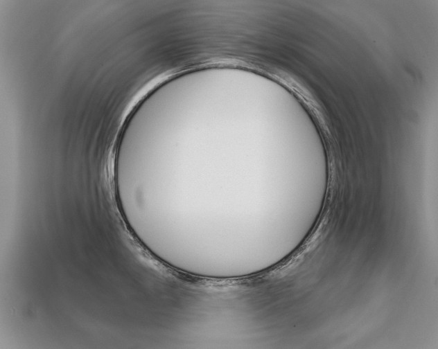 X0000113861198200909241019