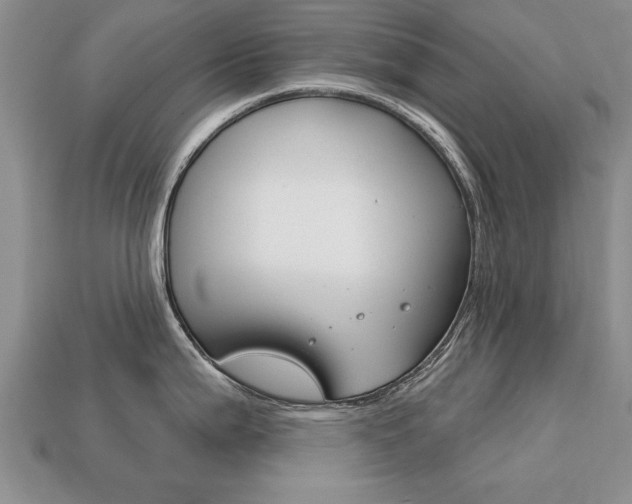 X0000113861199200909241019