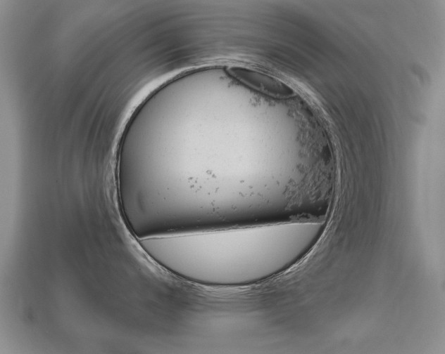 X0000113861200200909241019