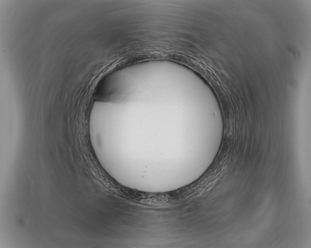 X0000113861201200909241018
