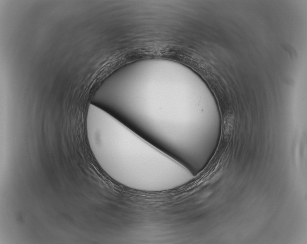 X0000113861202200909241018
