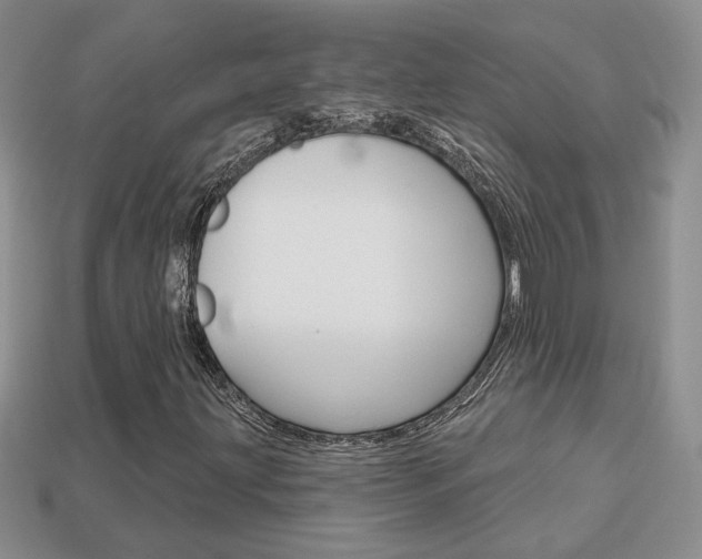 X0000113861203200909241018