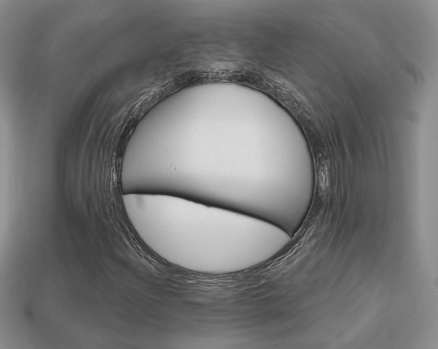 X0000113861204200909241018