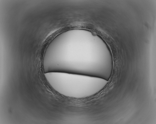 X0000113861206200909241018