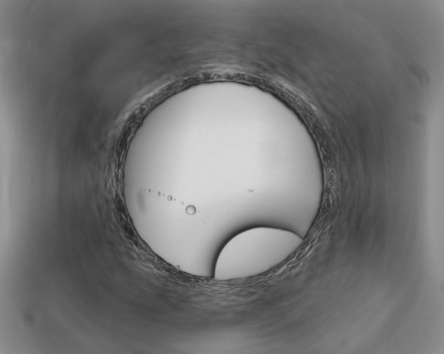 X0000113861207200909241018
