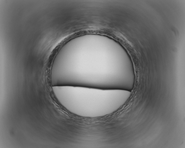 X0000113861208200909241018