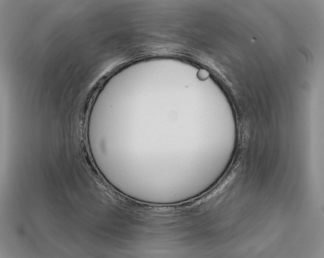 X0000113861211200909241019