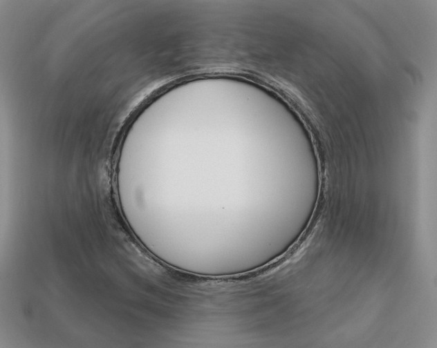 X0000113861212200909241019