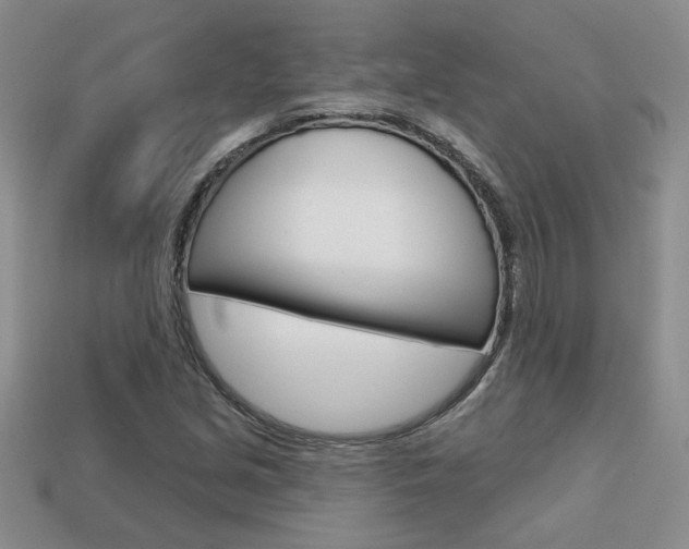 X0000113861213200909241019