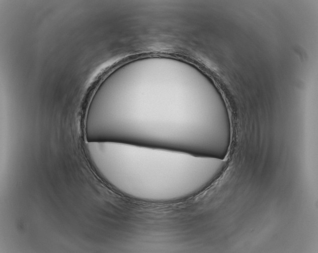 X0000113861214200909241019