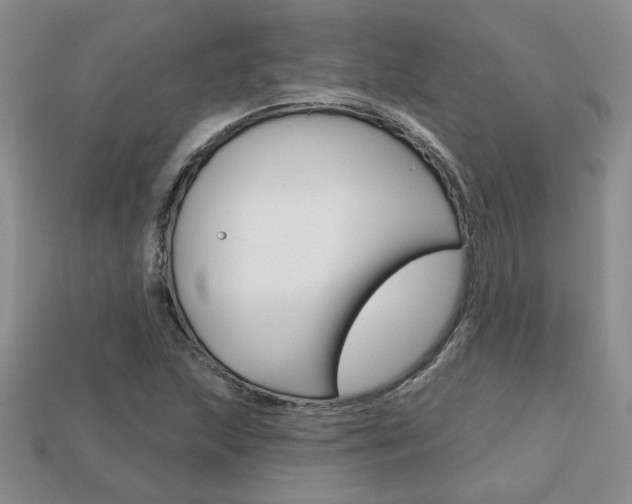 X0000113861215200909241019