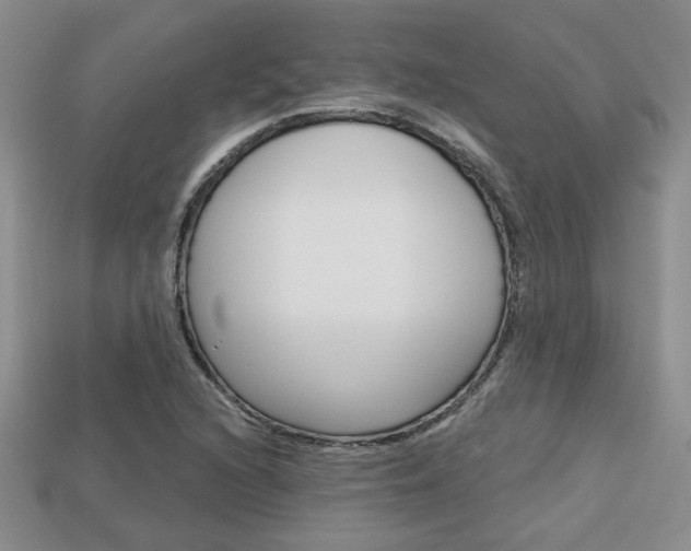 X0000113861216200909241019