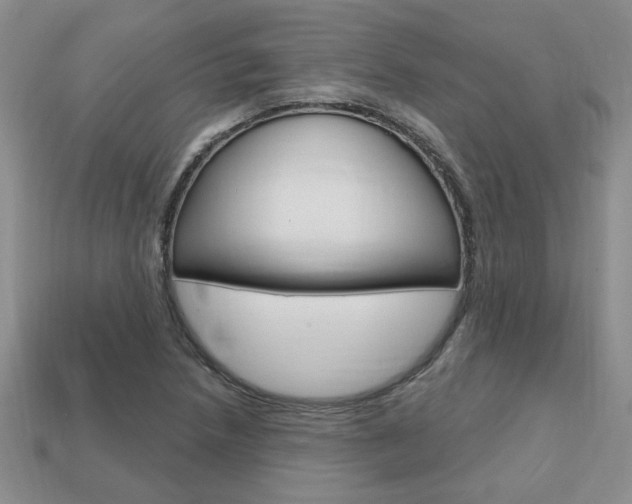 X0000113861218200909241019