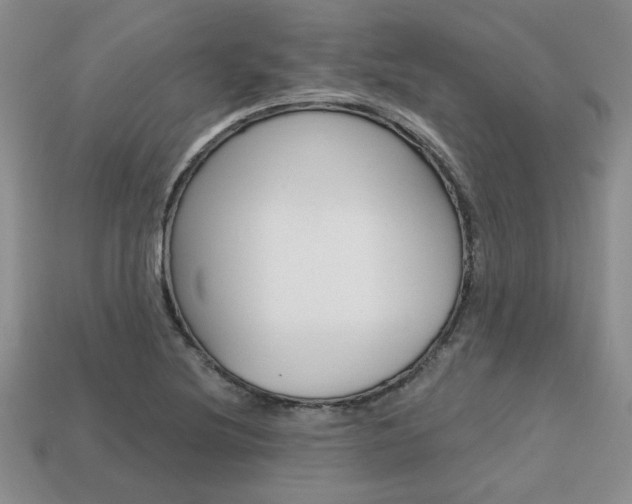 X0000113861220200909241019