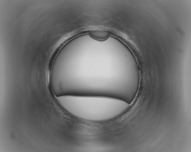 X0000113861221200909241019