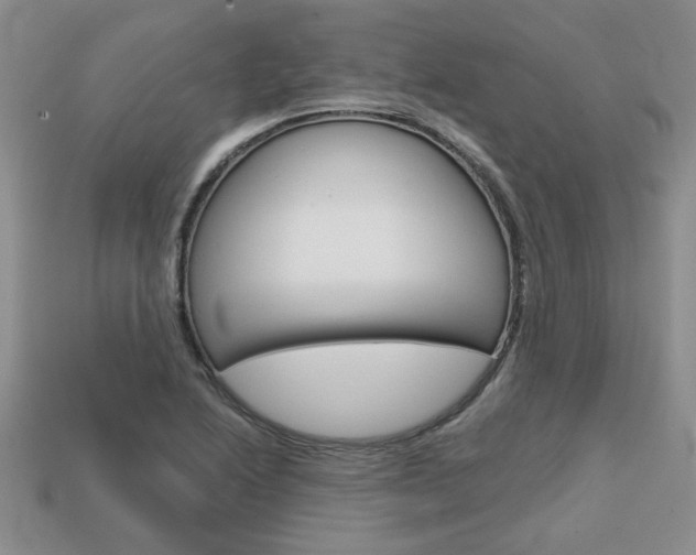 X0000113861222200909241019