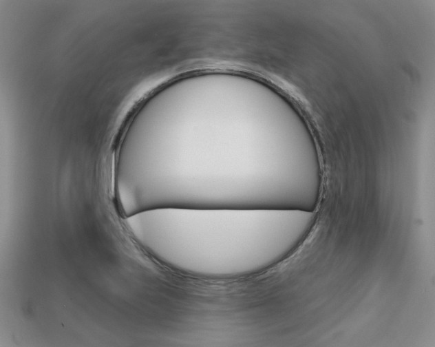 X0000113861223200909241019
