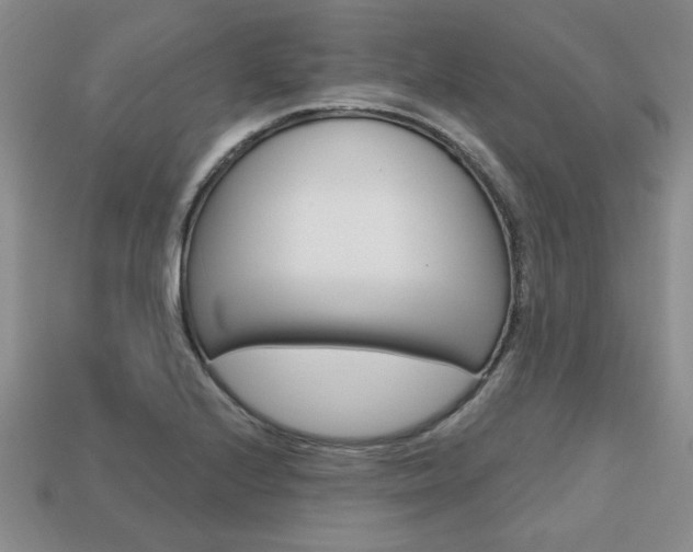 X0000113861224200909241019